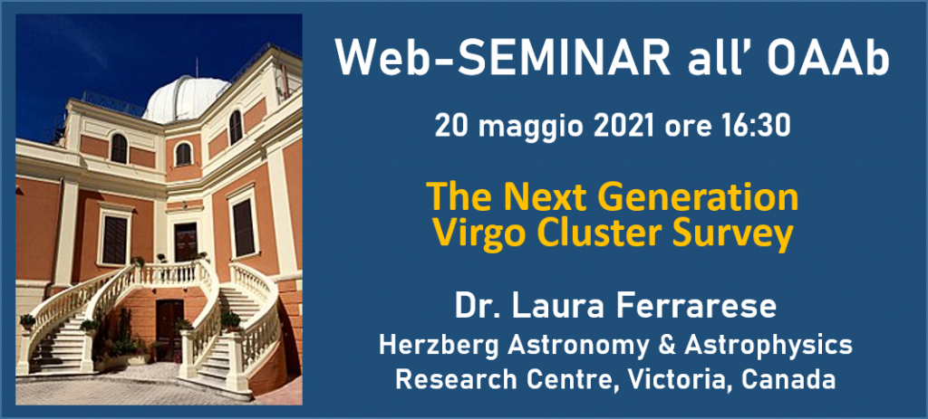 The Next Generation Virgo Cluster Survey
