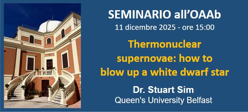 Thermonuclear supernovae: how to blow up a white dwarf star